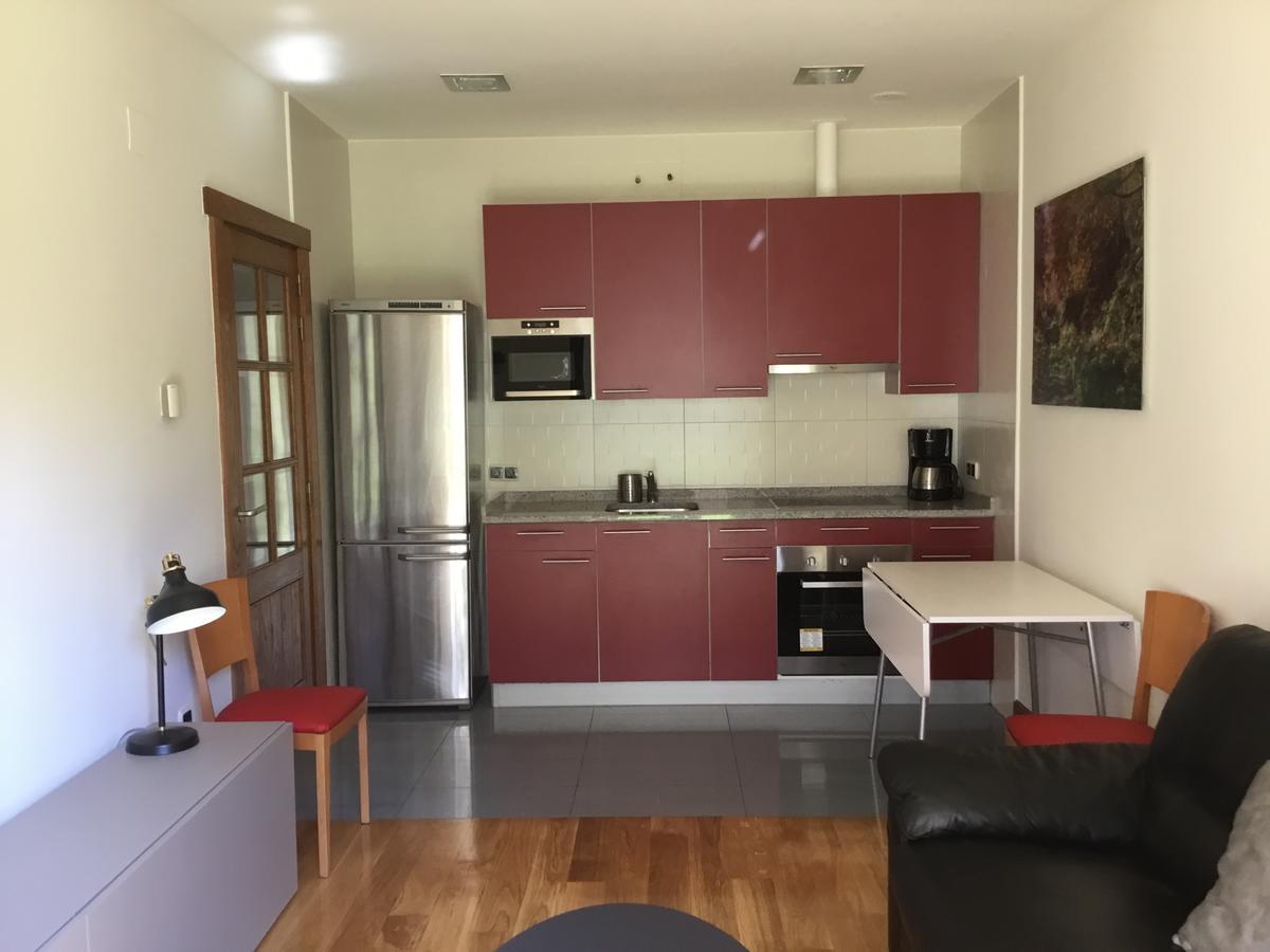 Apartamentos Irati Espinal-Auzperri Buitenkant foto